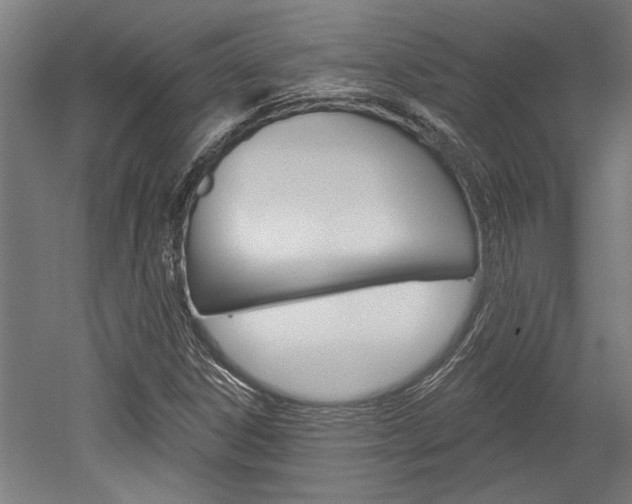 X0000052541306200507010808