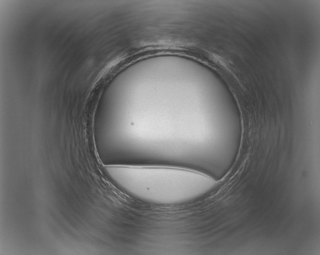 X0000052541307200507010808