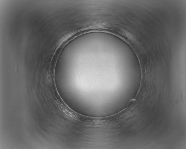 X0000052541308200507010808