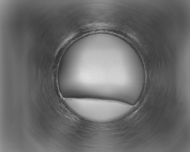 X0000052541309200507010808