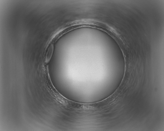 X0000052541312200507010808