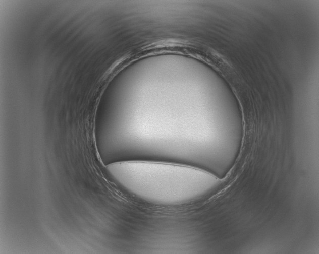 X0000052541313200507010808