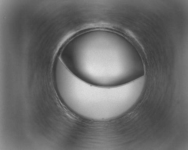 X0000052541320200507010808