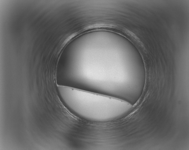 X0000052541321200507010808