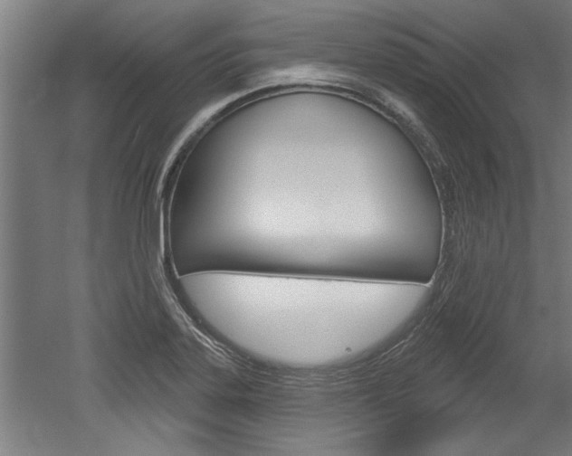 X0000052541323200507010809
