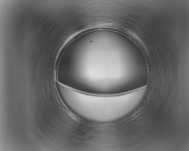 X0000052541324200507010809