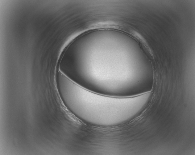 X0000052541336200507010809