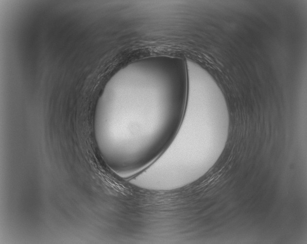 X0000052541345200507010808