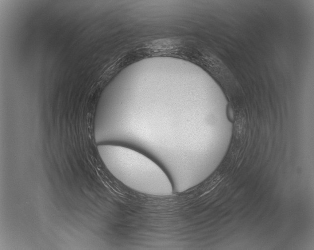 X0000052541346200507010808