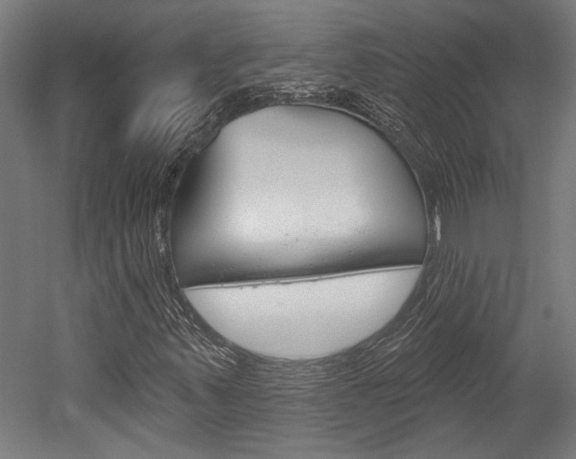X0000052541347200507010808