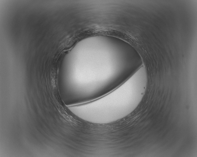 X0000052541348200507010808