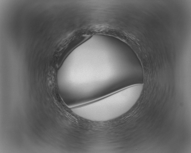 X0000052541349200507010808