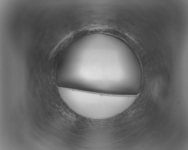 X0000052541351200507010808