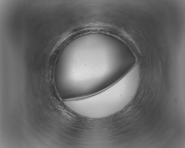 X0000052541352200507010808
