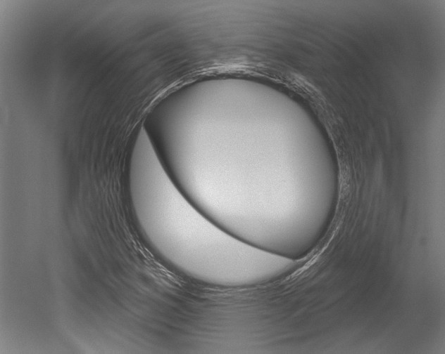 X0000052541353200507010808