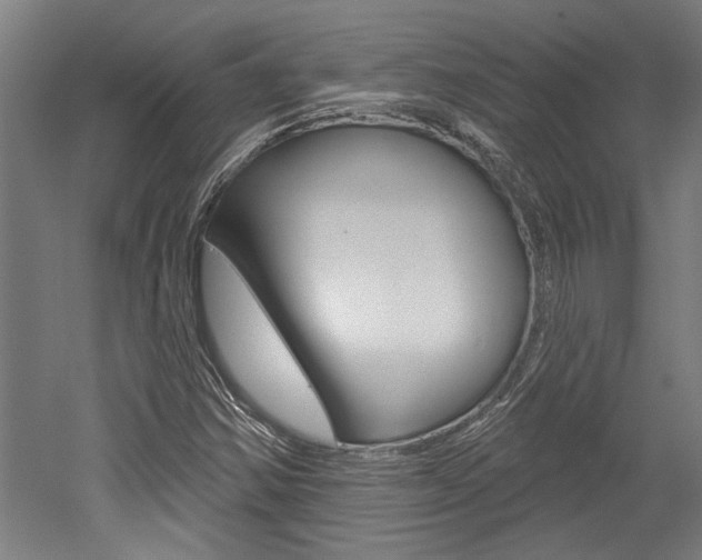 X0000052541354200507010808