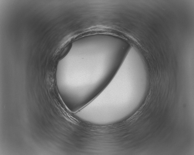 X0000052541355200507010808