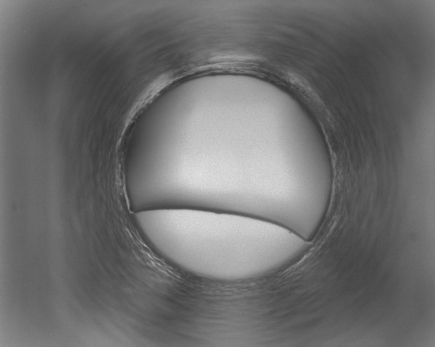 X0000052541362200507010808