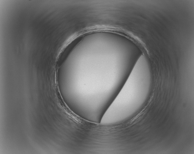 X0000052541365200507010808
