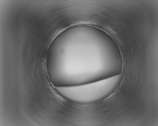 X0000052541369200507010808