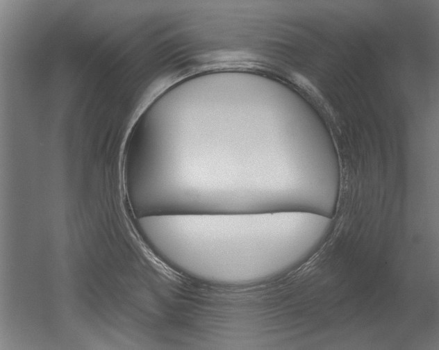 X0000052541370200507010808