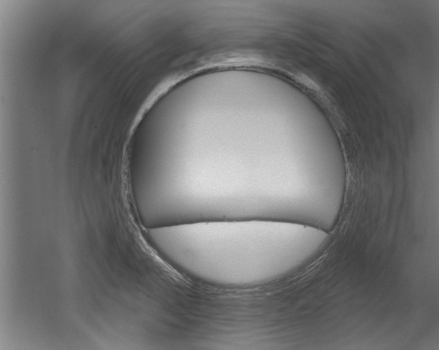 X0000052541374200507010808