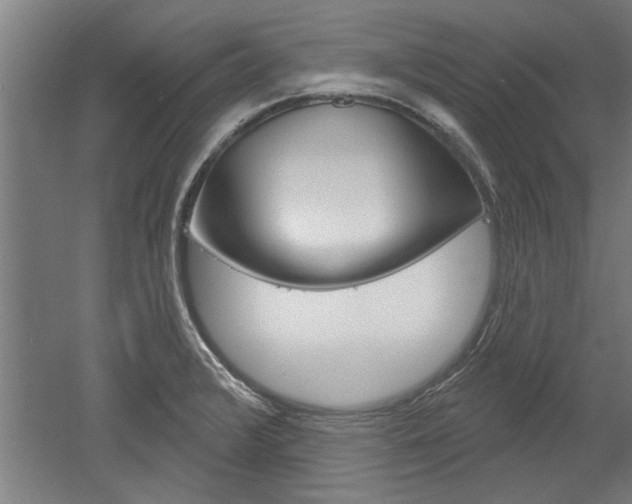 X0000052541376200507010808