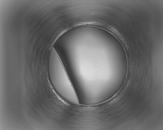 X0000052541377200507010808