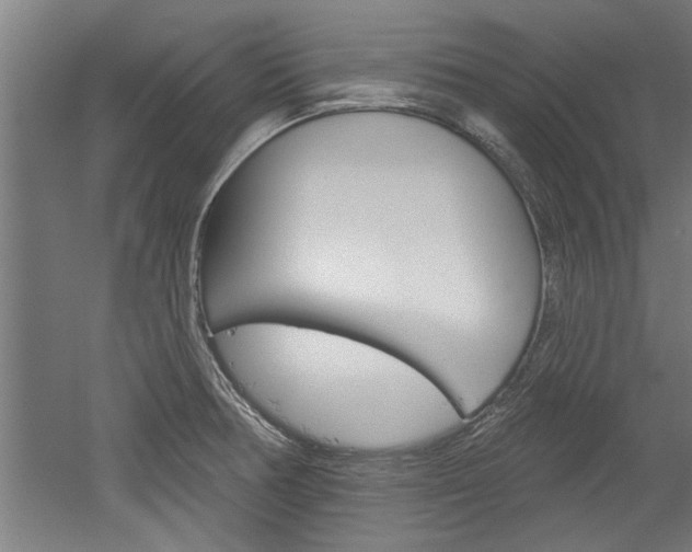 X0000052541378200507010807