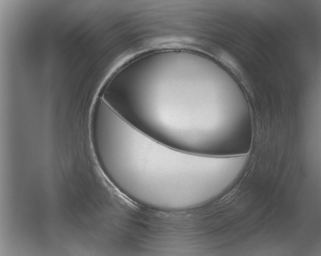 X0000052541384200507010807