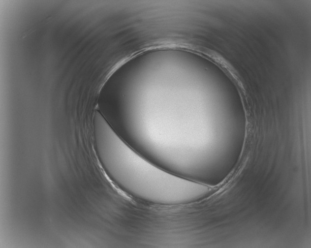 X0000052541385200507010807