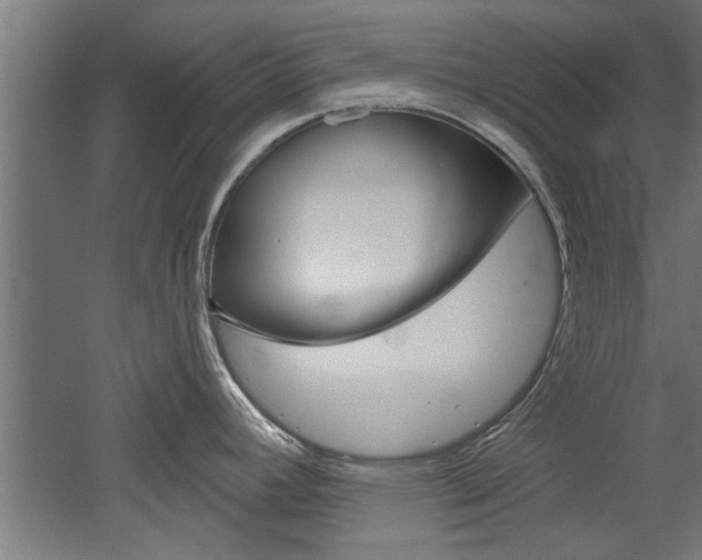 X0000052541392200507010807