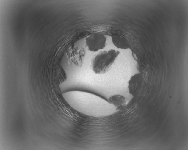 X0000052541393200507010806