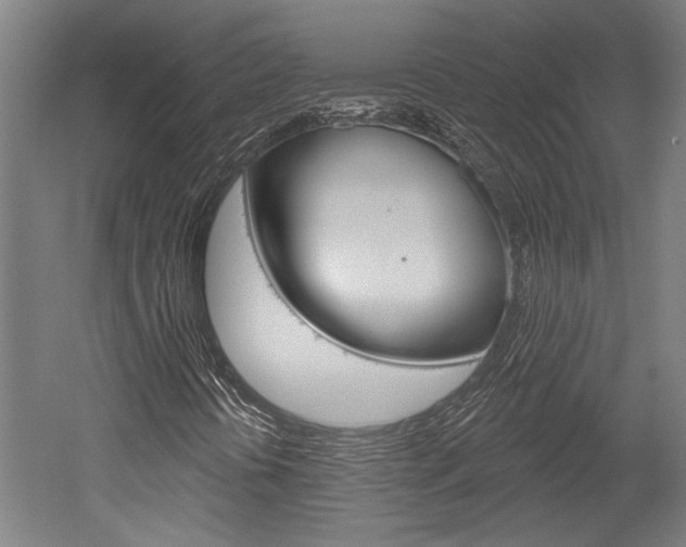 X0000052541394200507010806