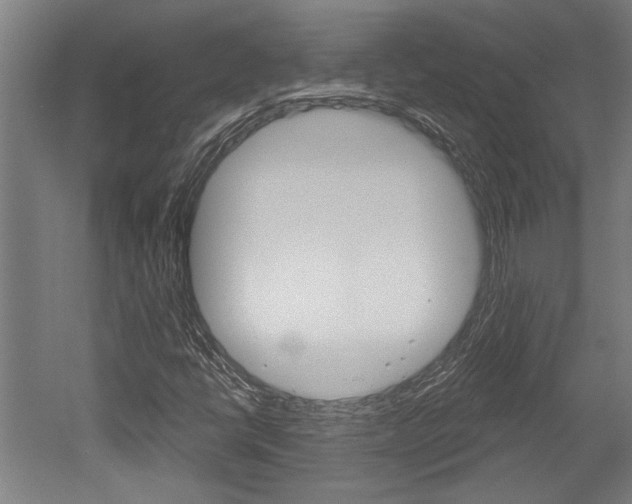 X0000052541398200507010807