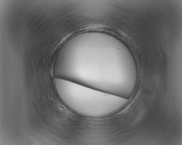 X0000052541401200507010807