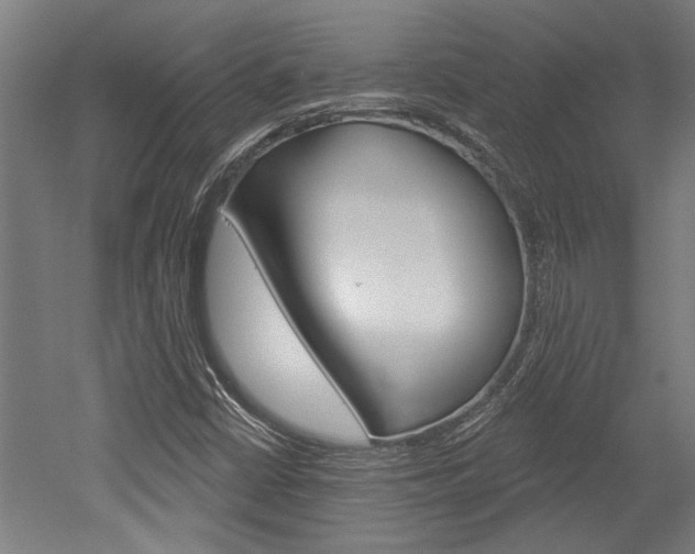 X0000052541402200507010807