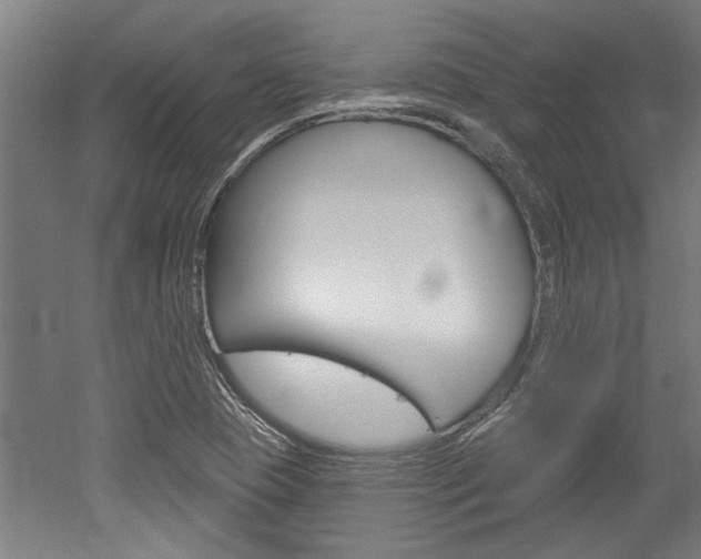 X0000052541409200507010807