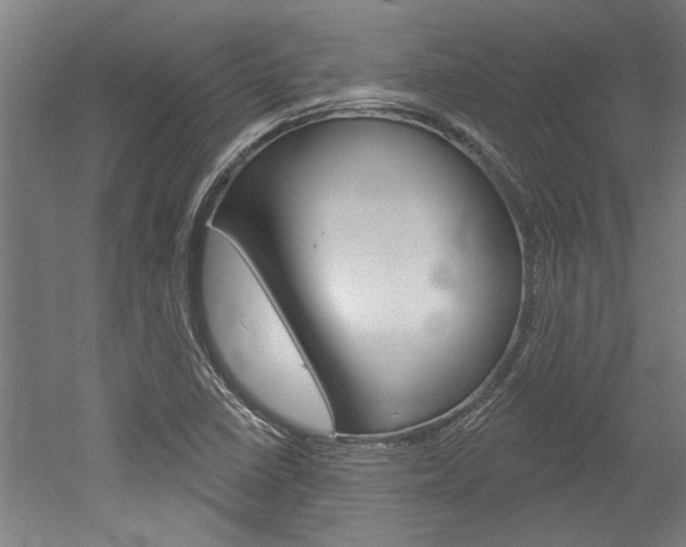 X0000052541410200507010807