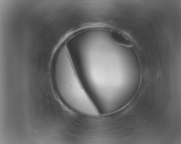 X0000052541414200507010807