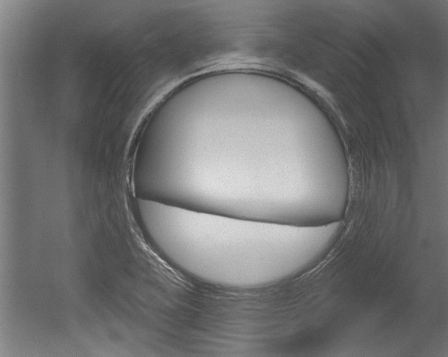 X0000052541415200507010807