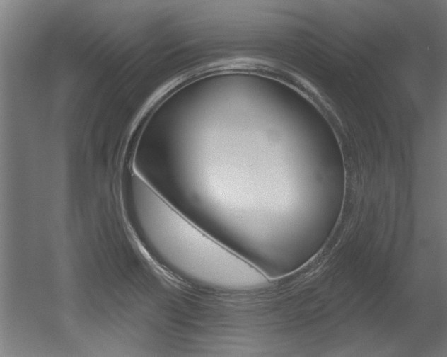 X0000052541418200507010807