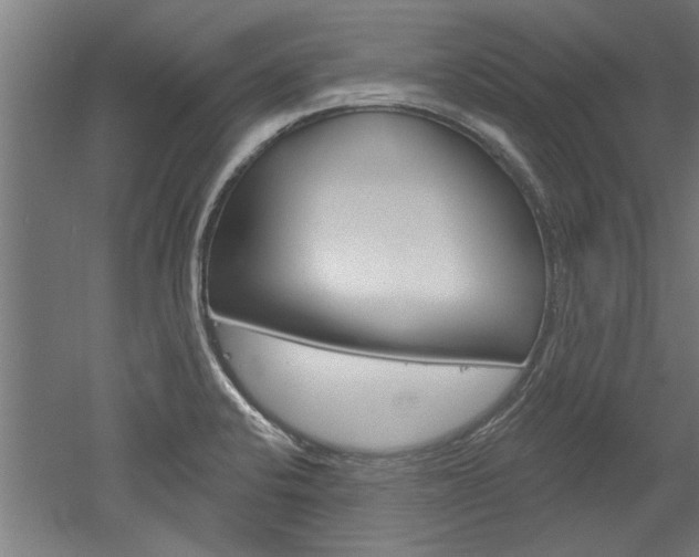 X0000052541424200507010807