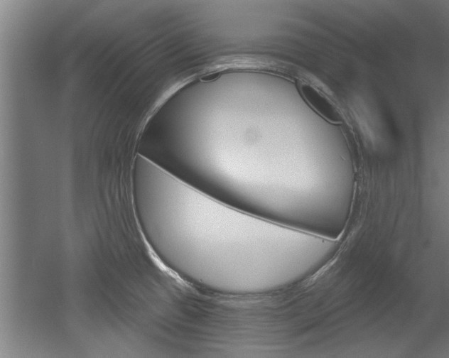 X0000052541433200507010807