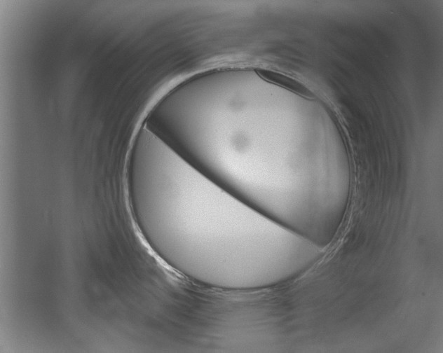 X0000052541440200507010807