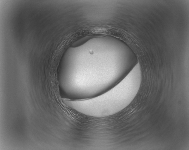 X0000052541441200507010806