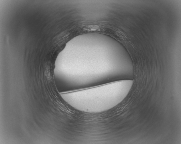 X0000052541442200507010806
