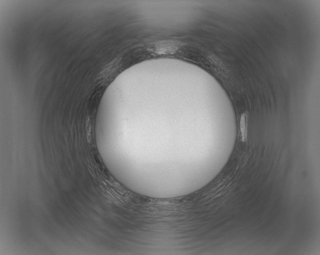 X0000052541443200507010806