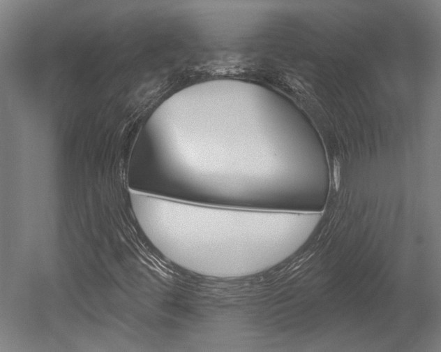X0000052541444200507010806