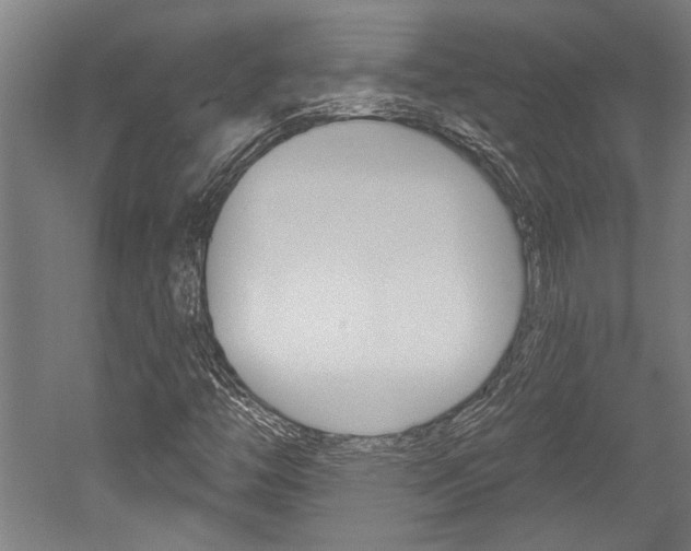 X0000052541446200507010806